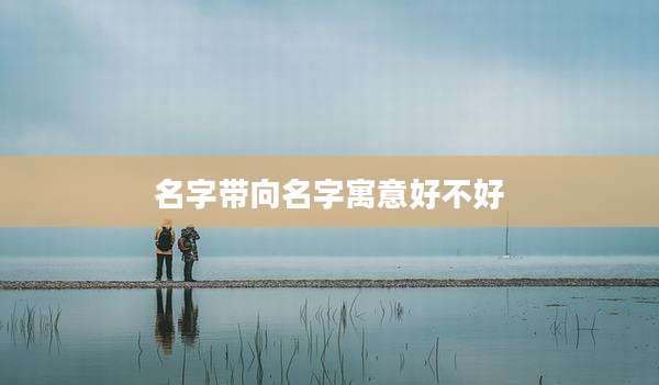 名字带向名字寓意好不好