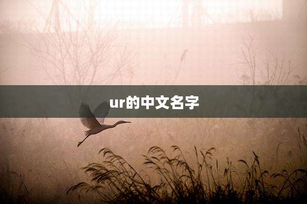 ur的中文名字