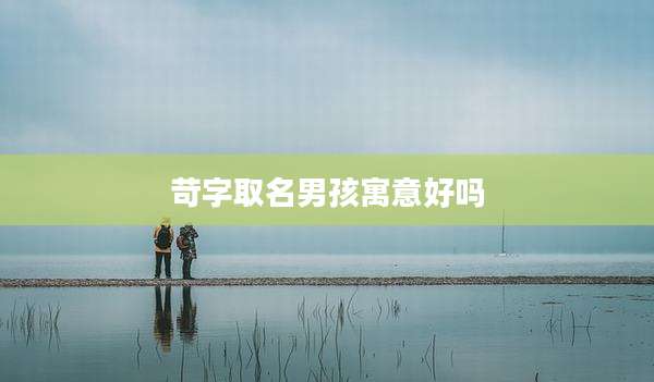 苛字取名男孩寓意好吗