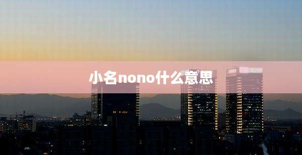 小名nono什么意思