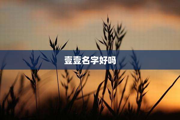 壹壹名字好吗