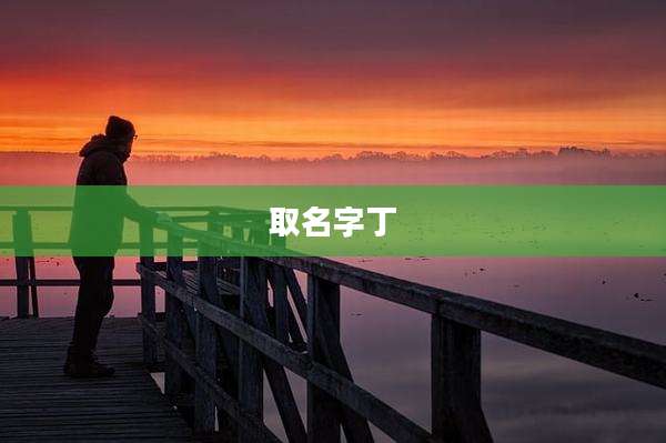 取名字丁