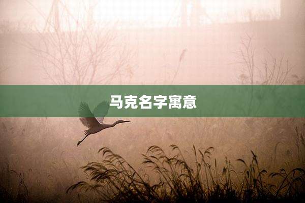 马克名字寓意