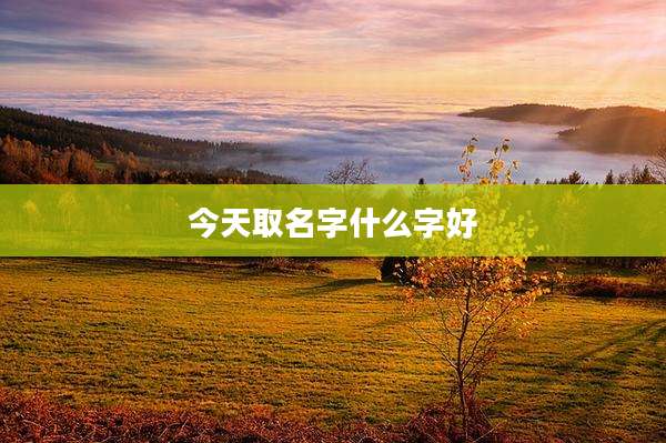 今天取名字什么字好