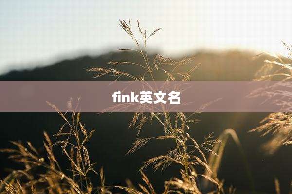 fink英文名