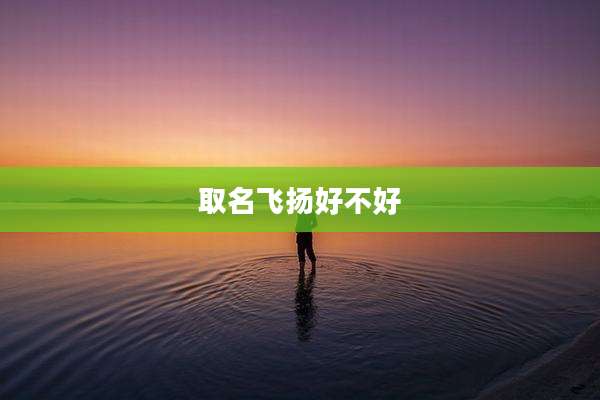 取名飞扬好不好