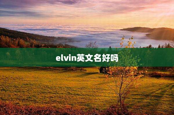 elvin英文名好吗