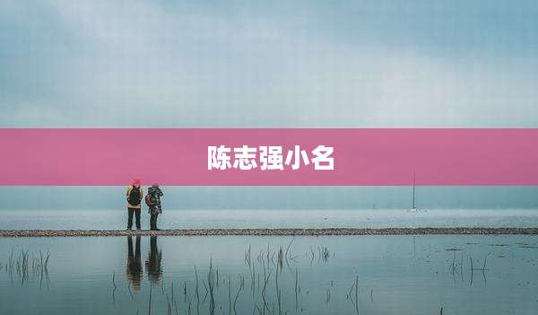 陈志强小名