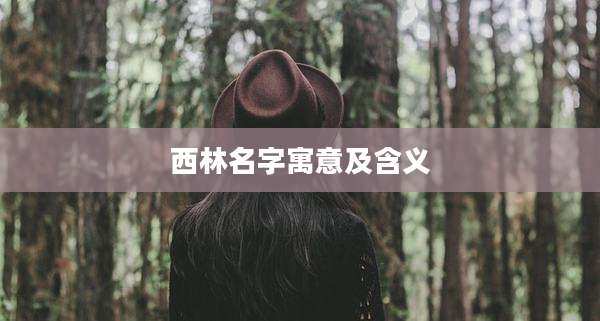 西林名字寓意及含义