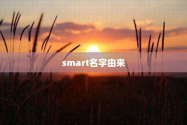 smart名字由来