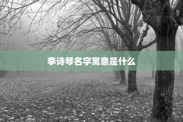 李诗琴名字寓意是什么