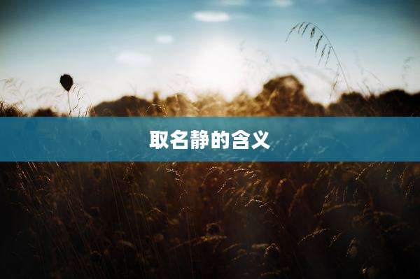 取名静的含义