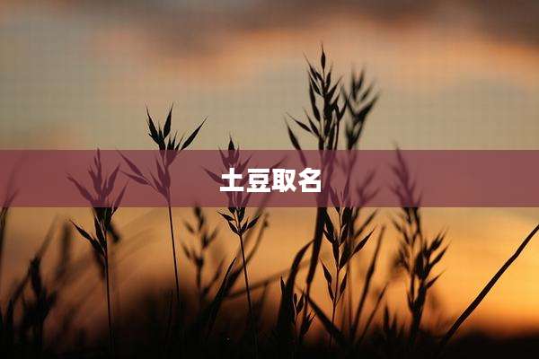 土豆取名