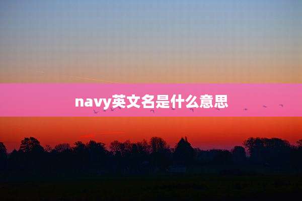 navy英文名是什么意思