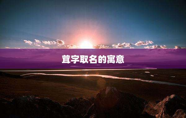 茸字取名的寓意