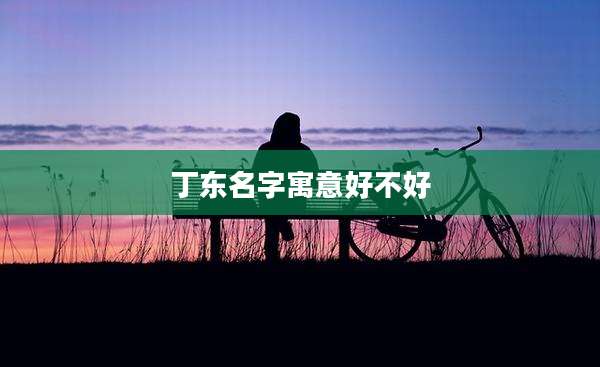 丁东名字寓意好不好