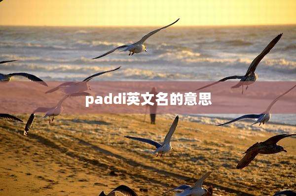 paddi英文名的意思