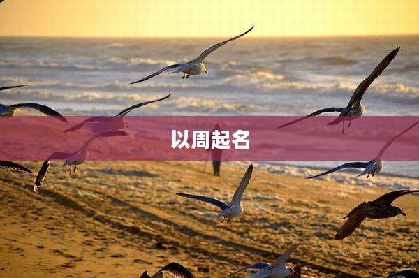 以周起名