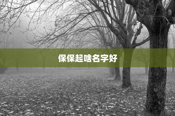 保保起啥名字好