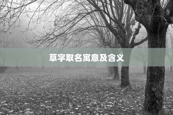 草字取名寓意及含义