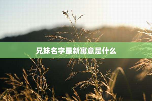 兄妹名字最新寓意是什么