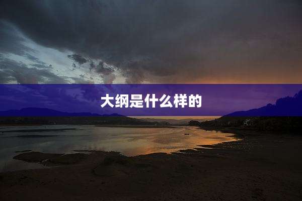 大纲是什么样的