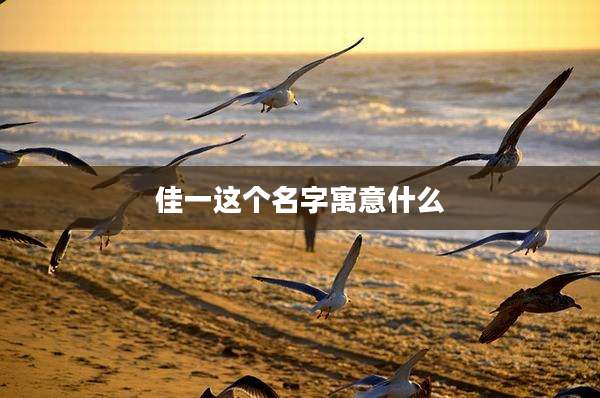 佳一这个名字寓意什么
