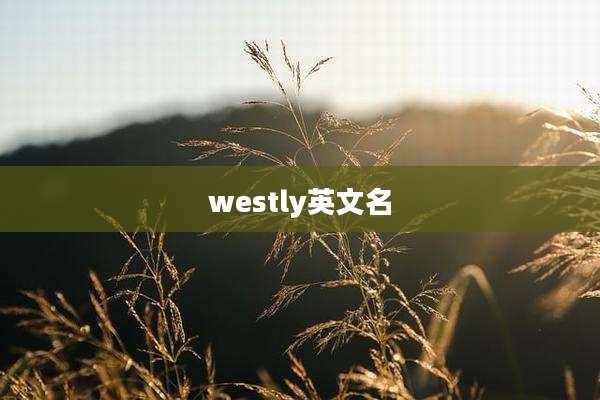 westly英文名