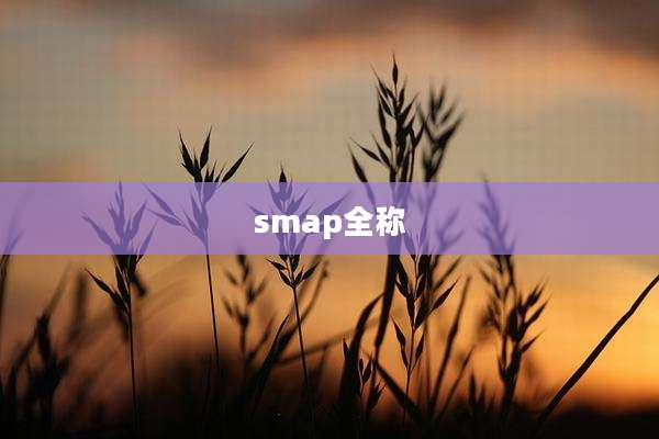 smap全称
