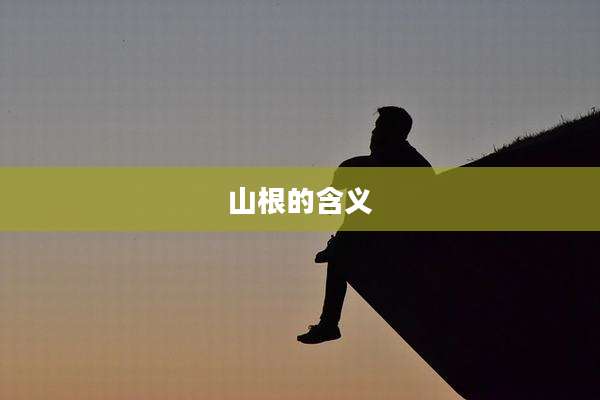 山根的含义