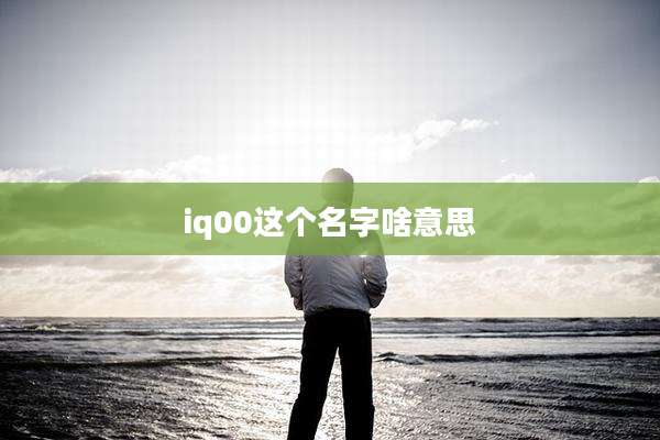 iq00这个名字啥意思