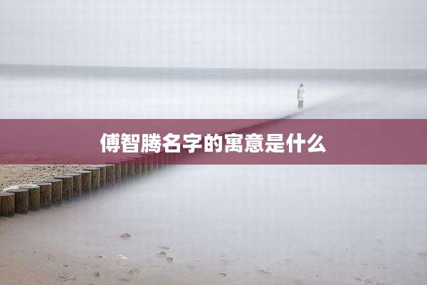 傅智腾名字的寓意是什么