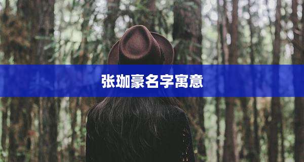 张珈豪名字寓意