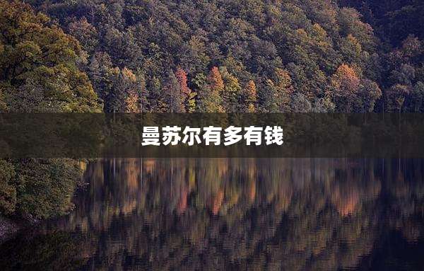 曼苏尔有多有钱