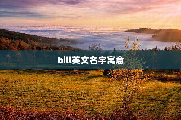 bill英文名字寓意