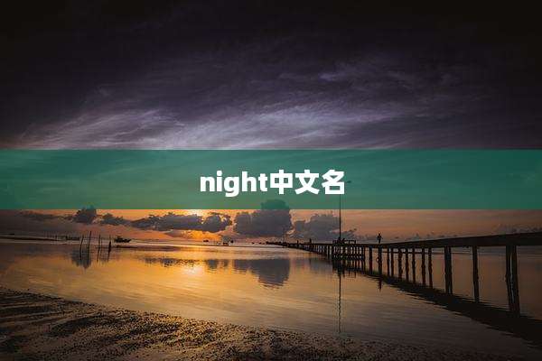 night中文名