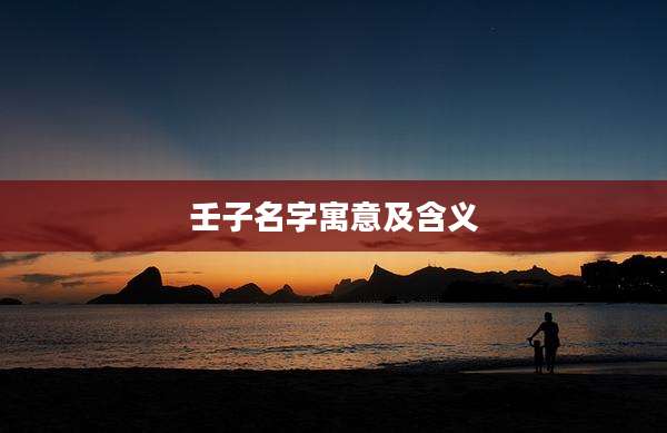 壬子名字寓意及含义