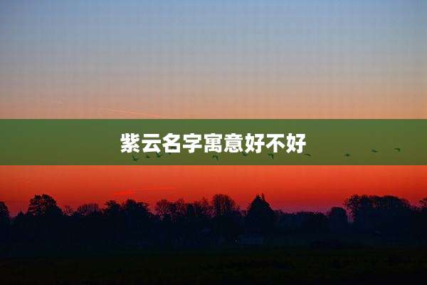 紫云名字寓意好不好