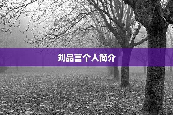 刘品言个人简介