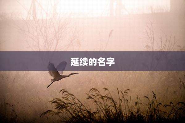 延续的名字
