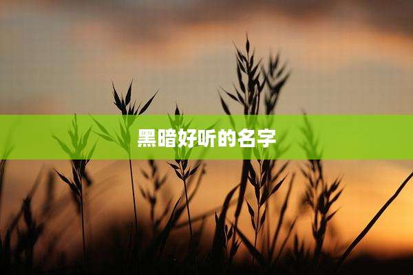 黑暗好听的名字
