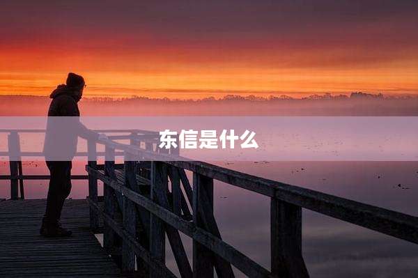东信是什么