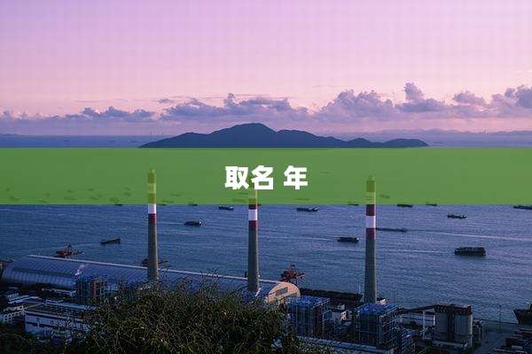 取名 年
