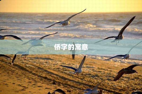 侨字的寓意