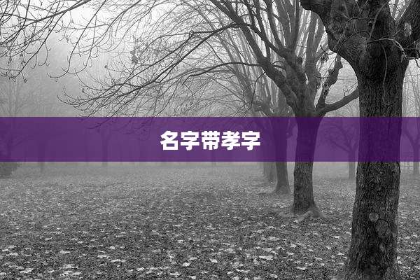 名字带孝字