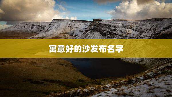 寓意好的沙发布名字