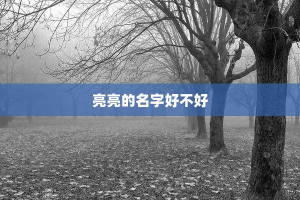 亮亮的名字好不好