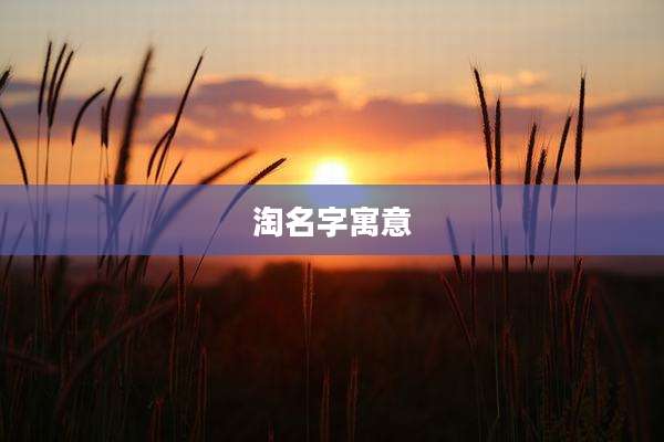淘名字寓意