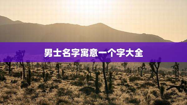 男士名字寓意一个字大全