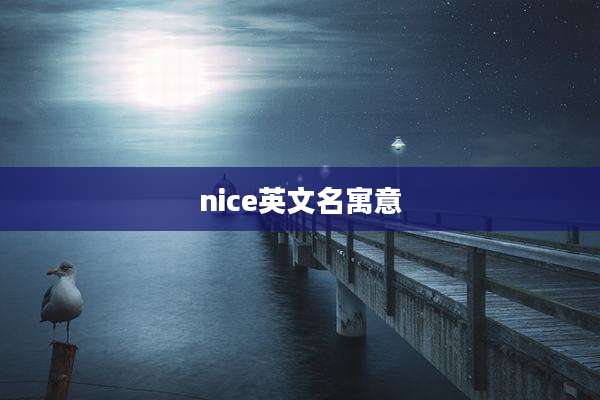 nice英文名寓意